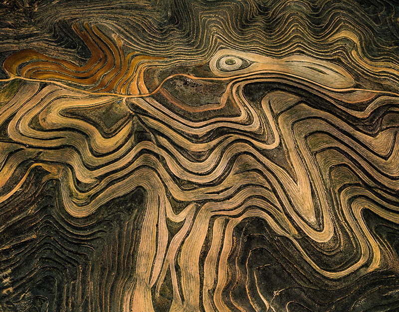 Найк Борзов: Мне всегда было, есть и будет интересно писать песни